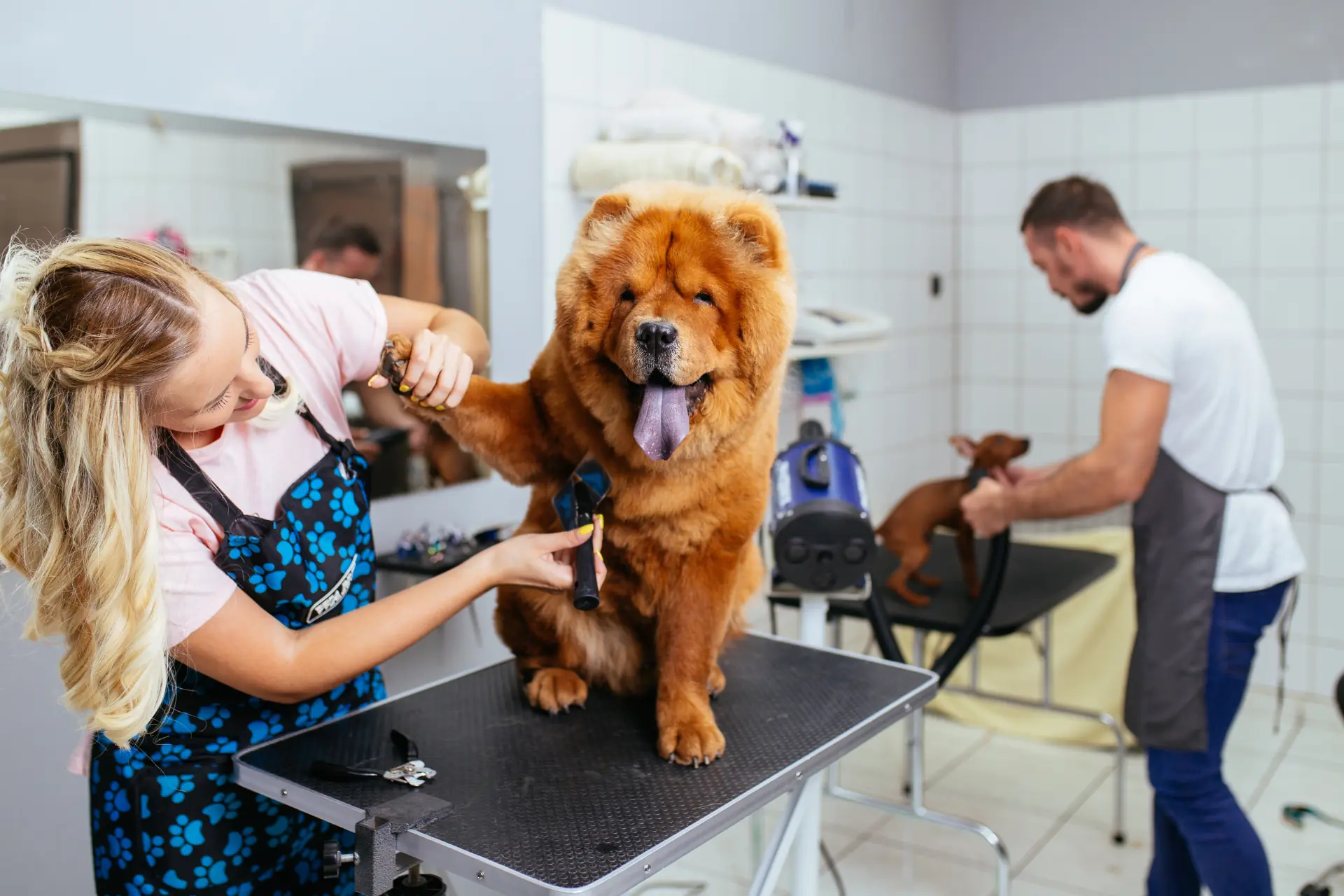 Grooming work