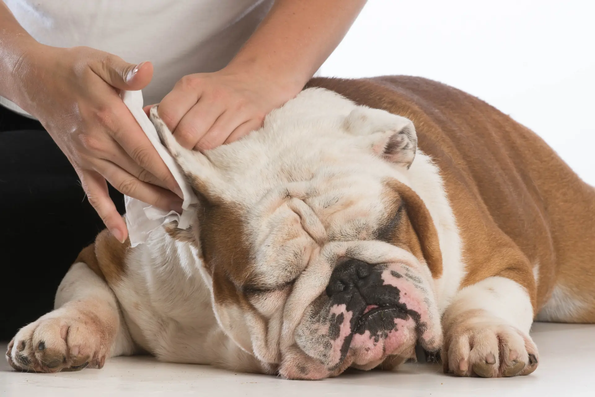 Grooming
