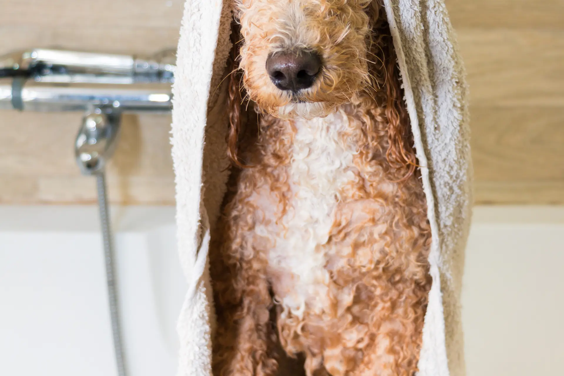 Grooming work